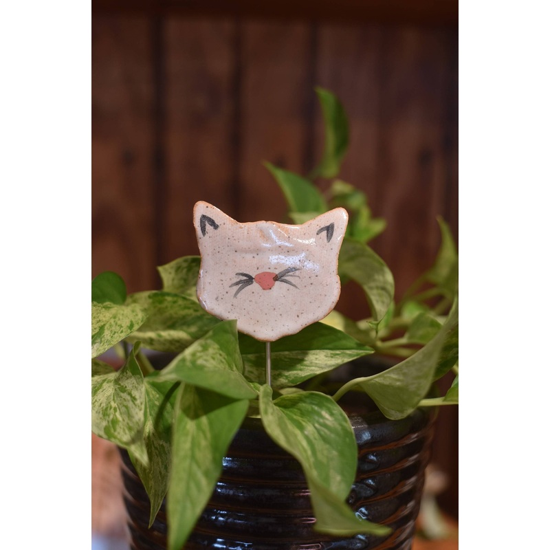 Plant Buddies – Cat / Kitten