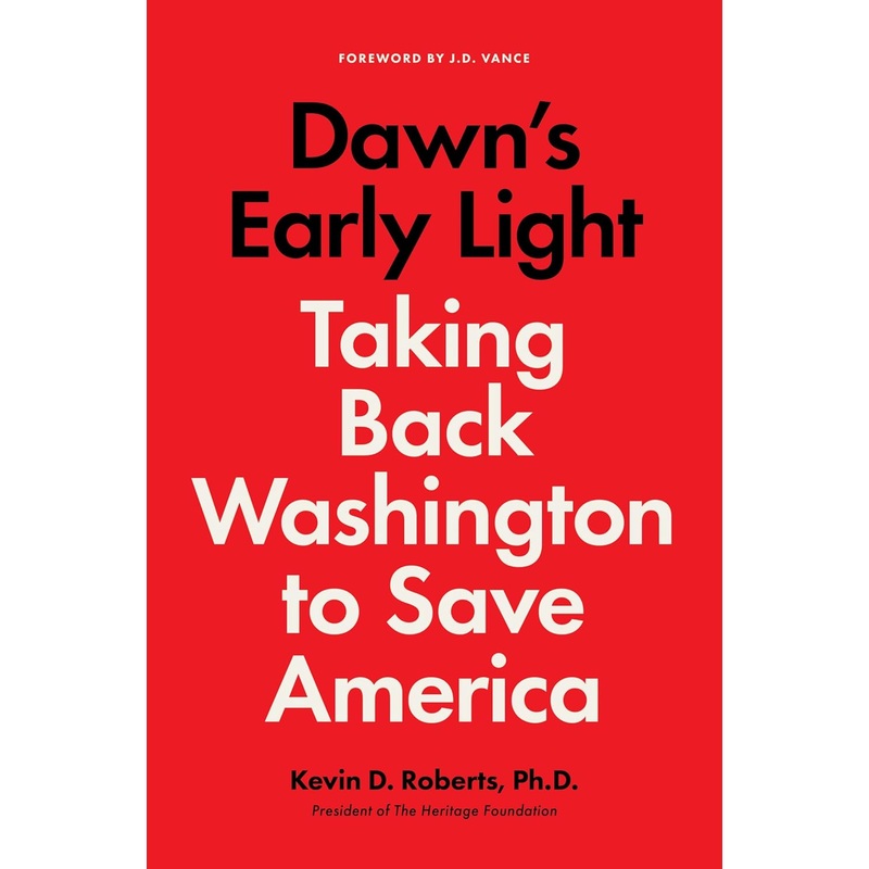 Dawn’s Early Light: Taking Back Washington to Save America Hardcover