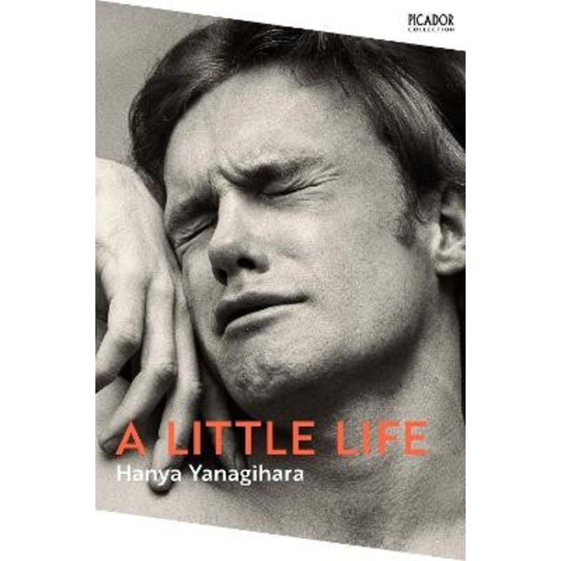 A Little Life: Nov 24
