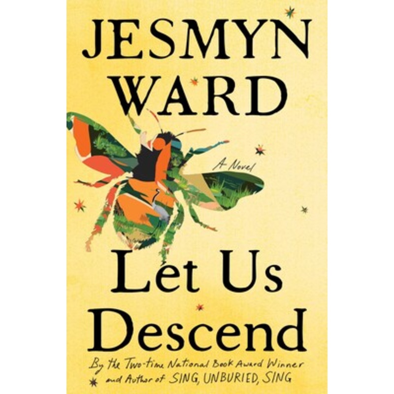Let Us Descend Hardcover