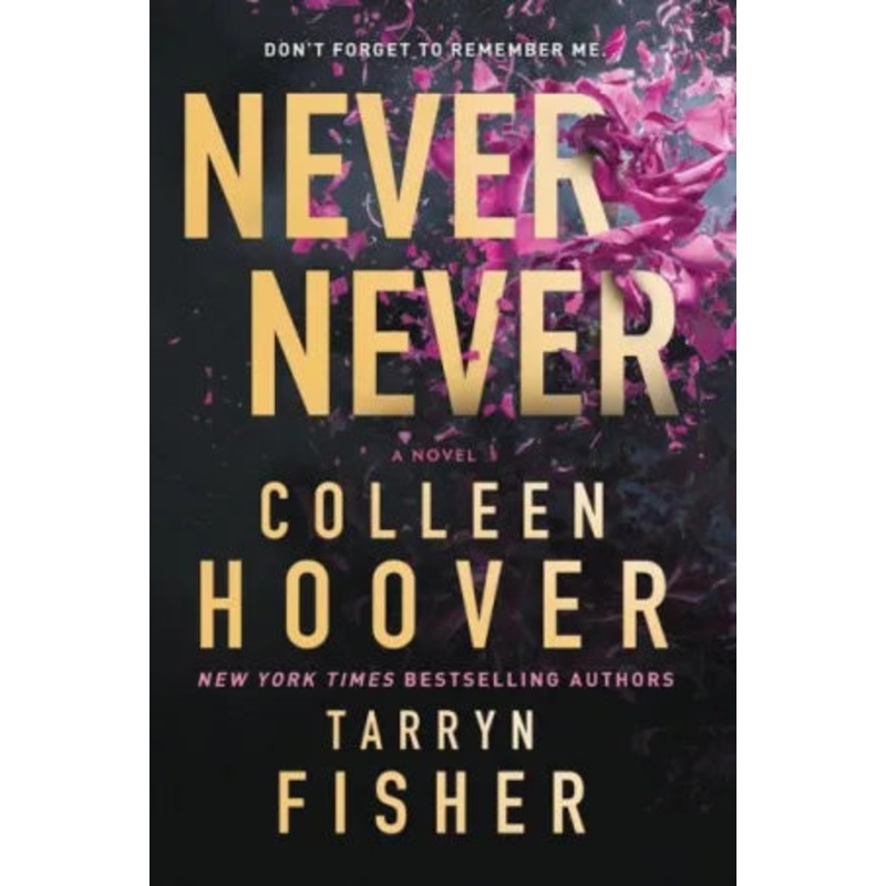 Never Never: A Twisty, Angsty Romance Paperback