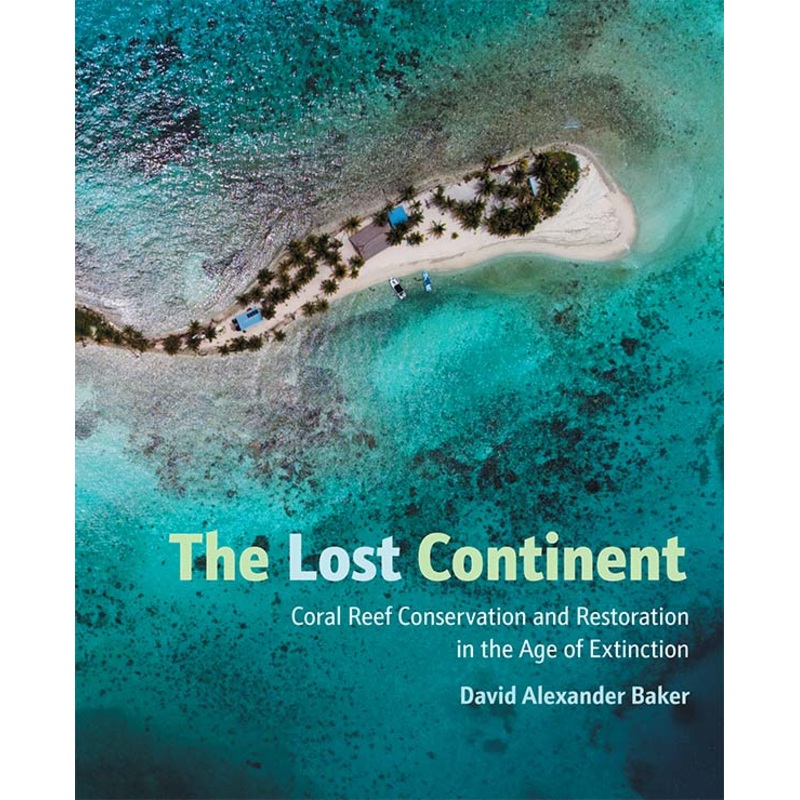 The Lost Continent
