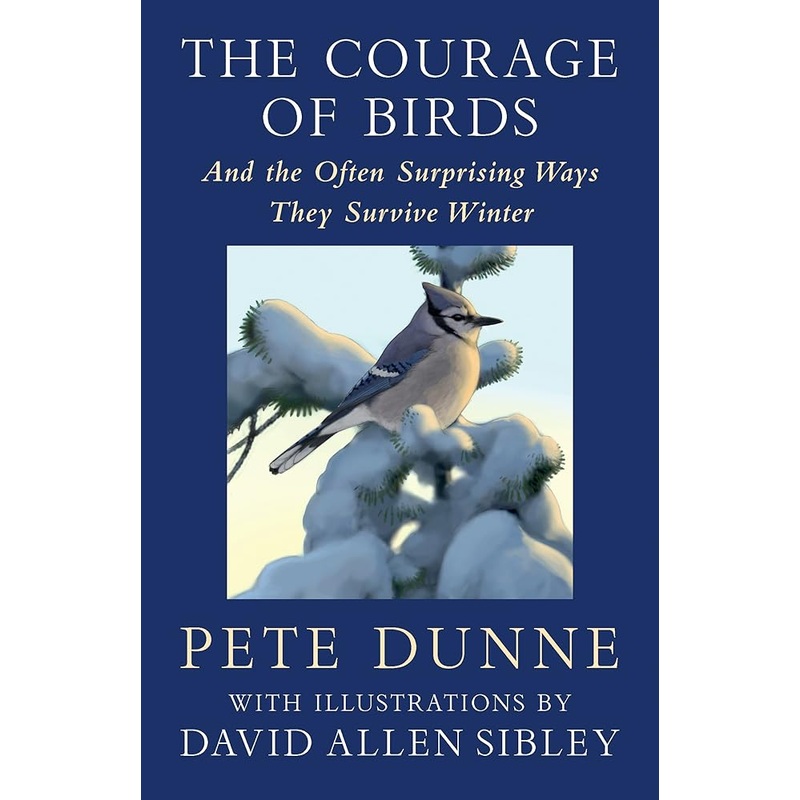 The Courage of Birds: And the Often Surprising Ways They Survive Winter