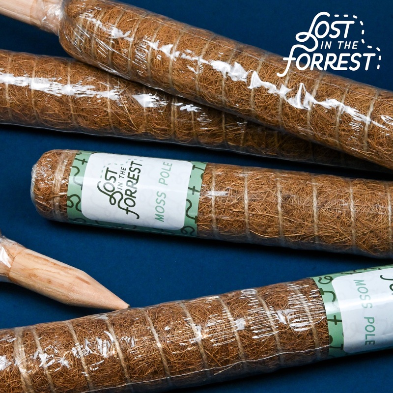 LITF Stackable Coir Pole 12″