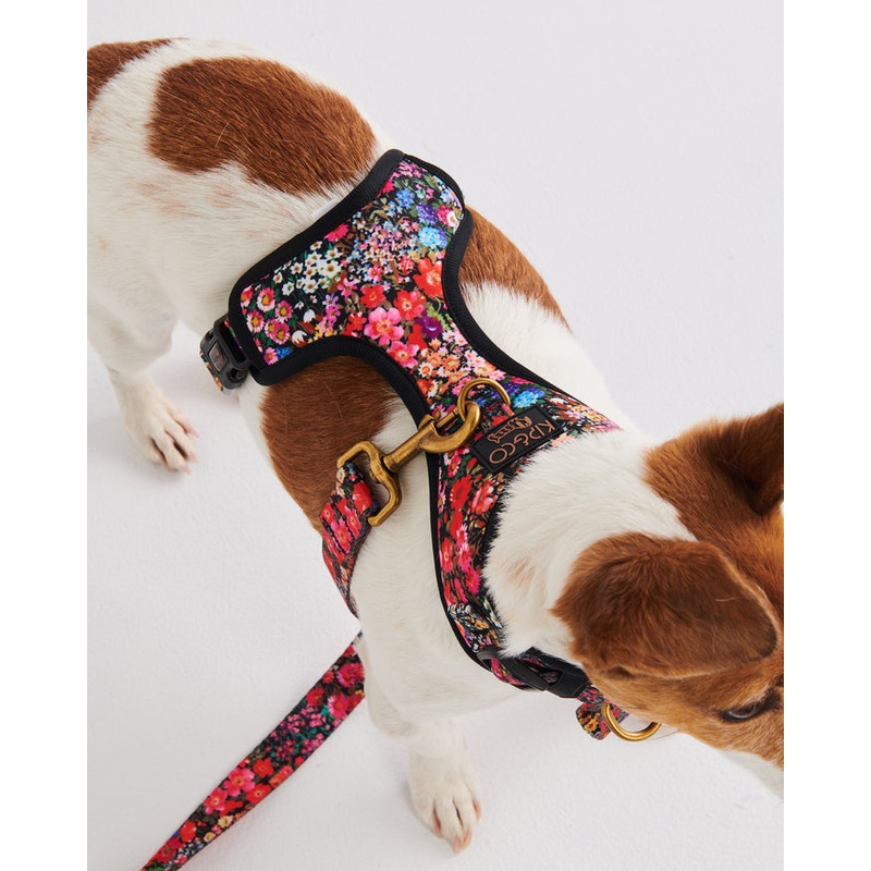 Forever Floral Black Dog Harness Small