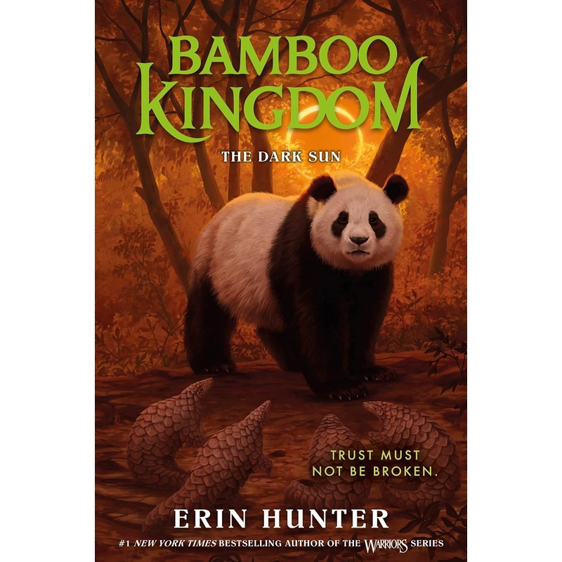 Bamboo Kingdom #4: The Dark Sun Hardcover