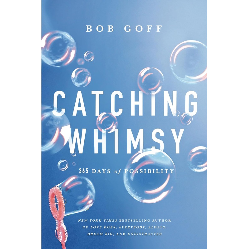 Catching Whimsy: 365 Days of Possibility Hardcover