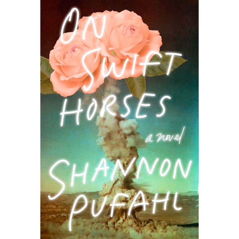 On Swift Horses : A Novel