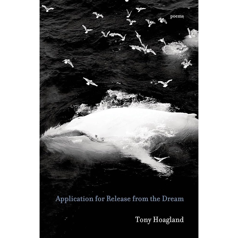 Application for Release from the Dream: Poems