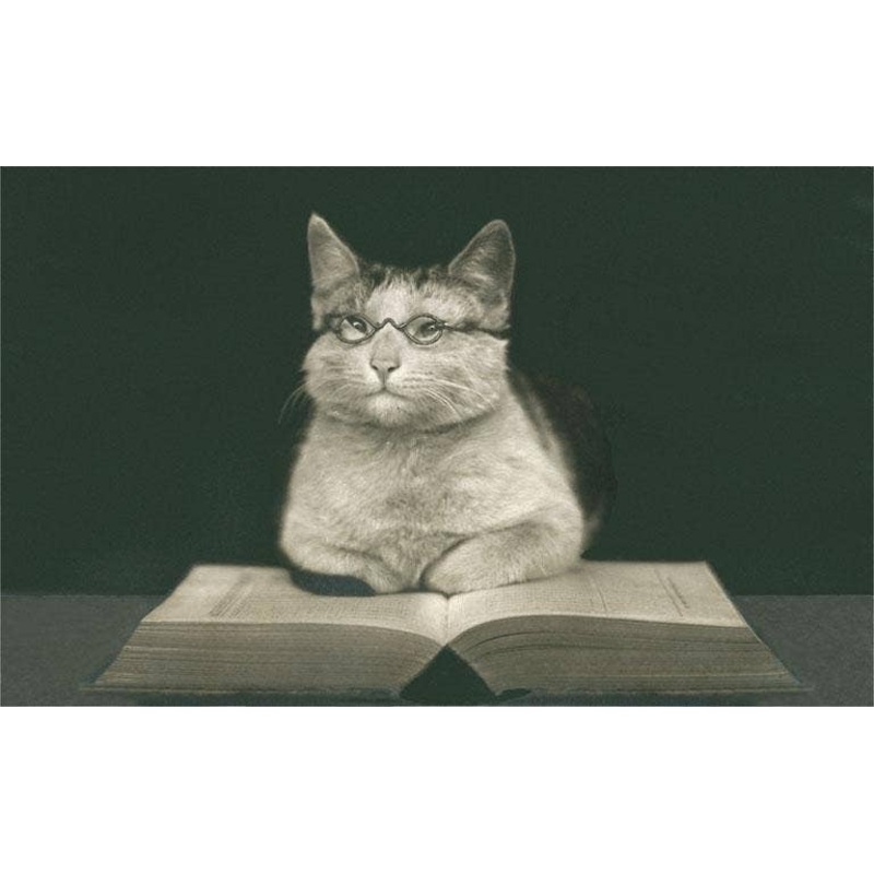 Found Image Press – LT-229 Wise Cat Reading Book – Vintage Image, Magnet