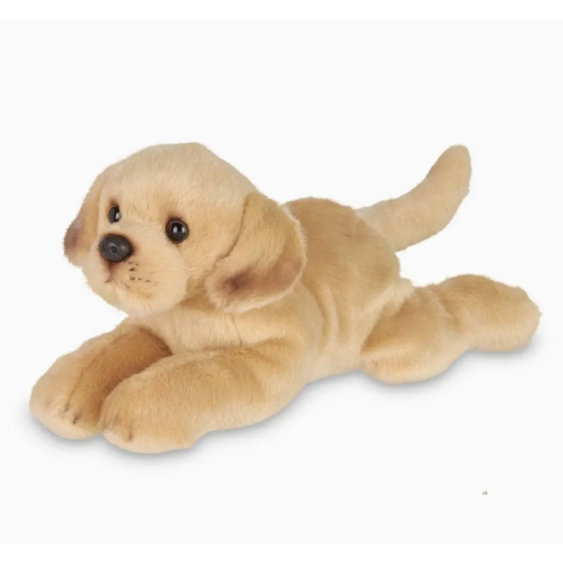 Lil’ Tanner the Yellow Lab