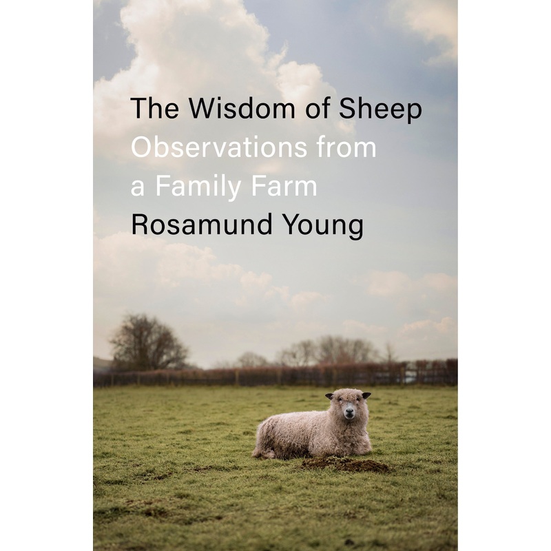 The Wisdom of Sheep