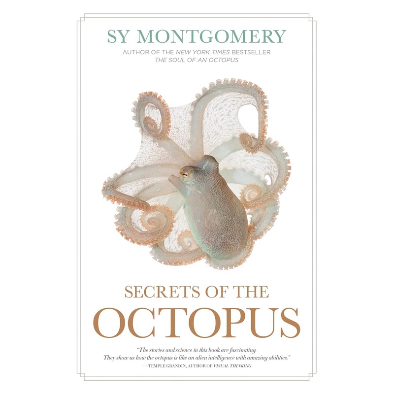 Secrets of the Octopus Hardcover