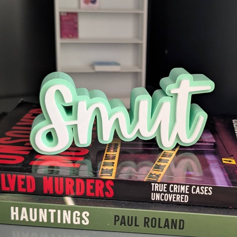 Bookshelf Sign – Smut 3D – Mint Green