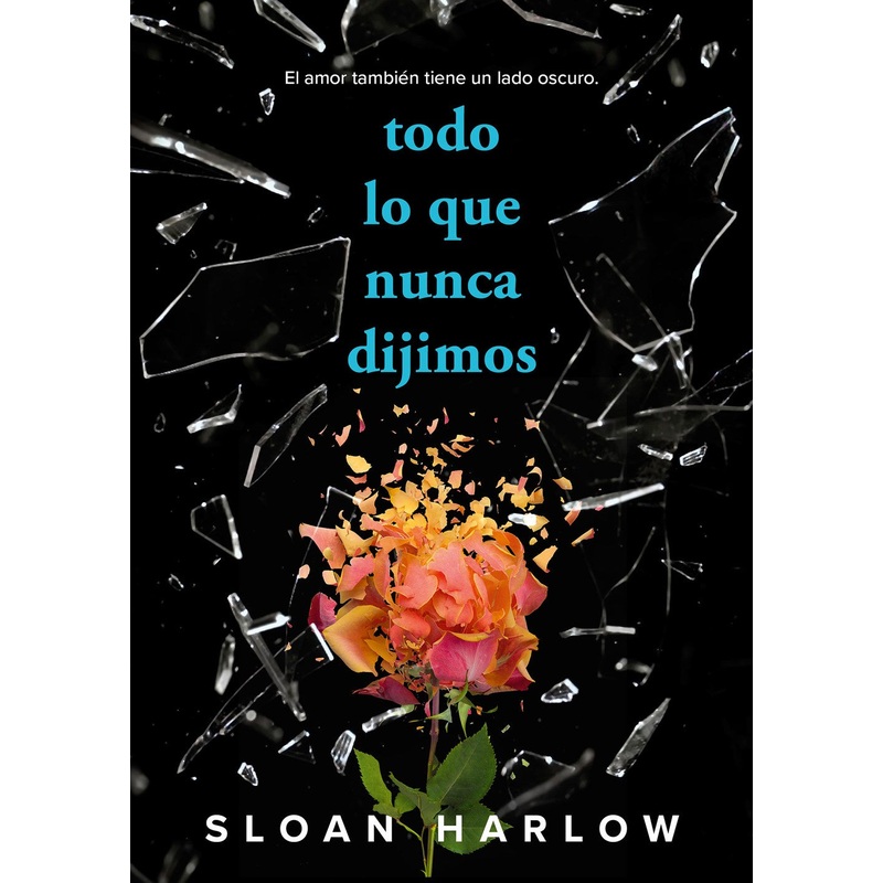 TODO LO QUE NUNCA DIJIMOS