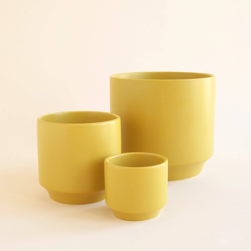 Parker Pot | Palm Speckle 3 inch