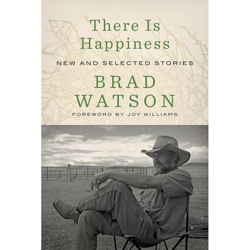 There Is Happiness: New and Selected Stories