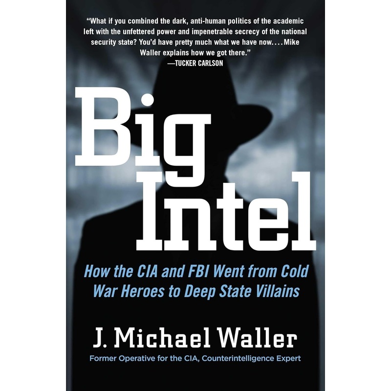 Big Intel: How the CIA and FBI Went from Cold War Heroes to Deep State Villains Hardcover