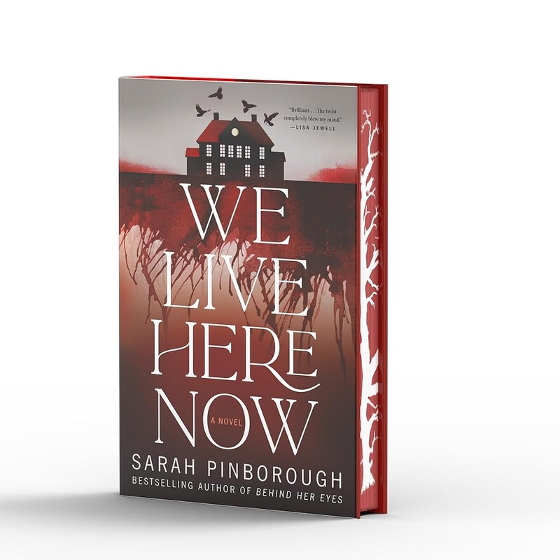 We Live Here Now: A Novel