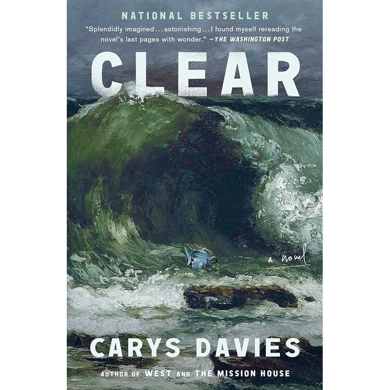 Clear: A Novel