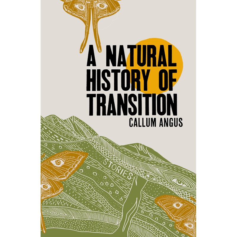 A Natural History of Transition