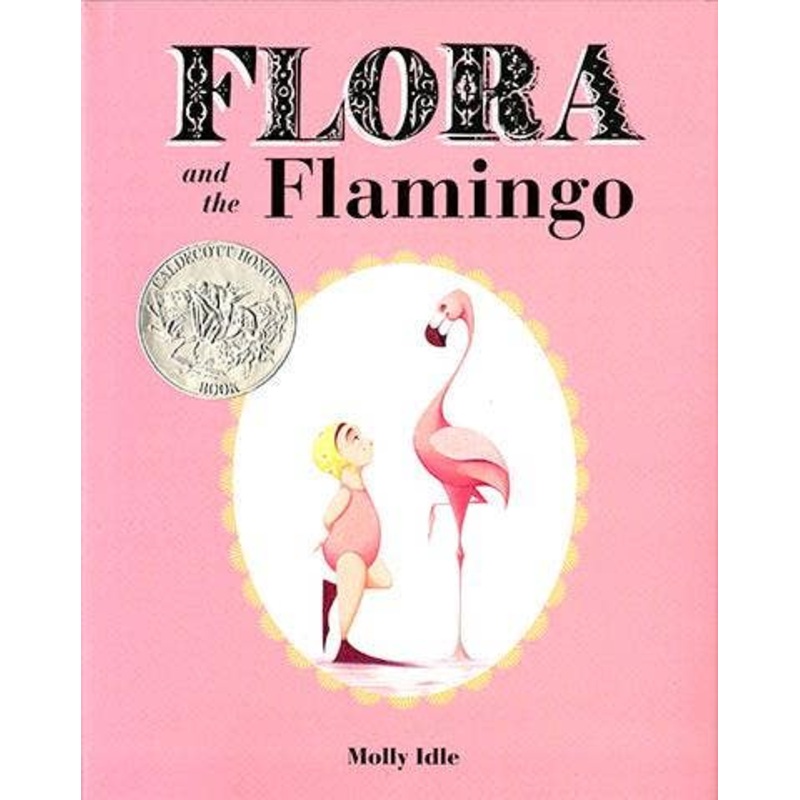 Flora and the Flamingo by Molly Idle