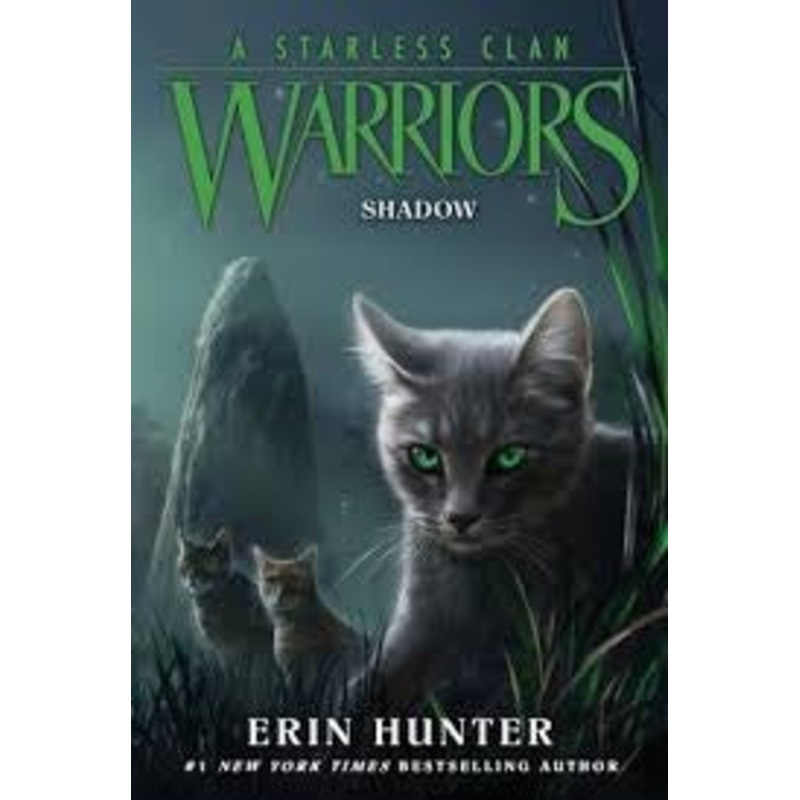 Warriors A Starless Clan #3