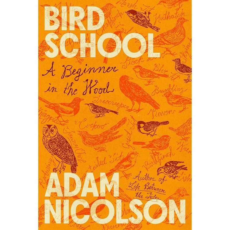 (09/16/25 PREORDER) Bird School: A Beginner in the Wood