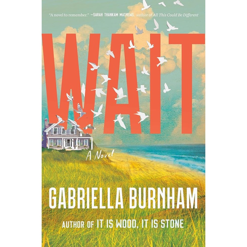 Wait: A Novel