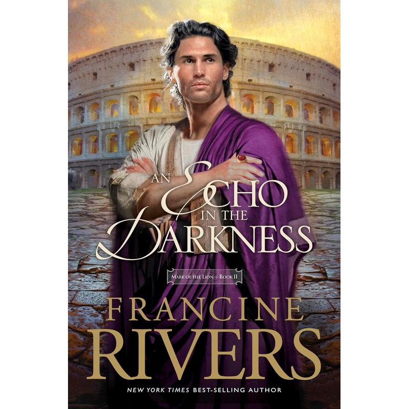 Echo in the Darkness Paperback