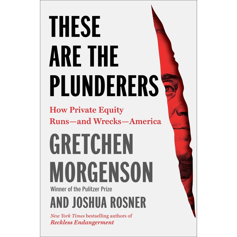 These Are the Plunderers: How Private Equity Runs–And Wrecks–America Hardcover