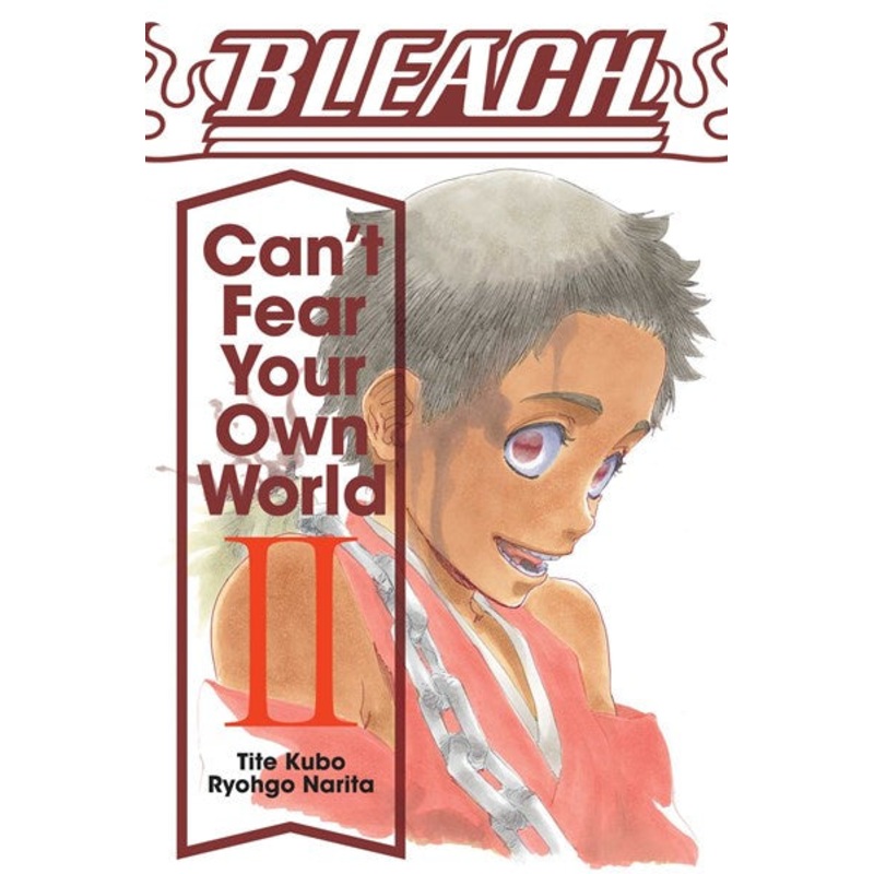 Bleach: Can’t Fear Your Own World, Vol. 2