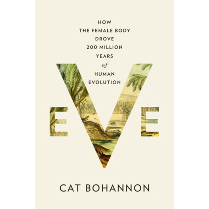 Eve