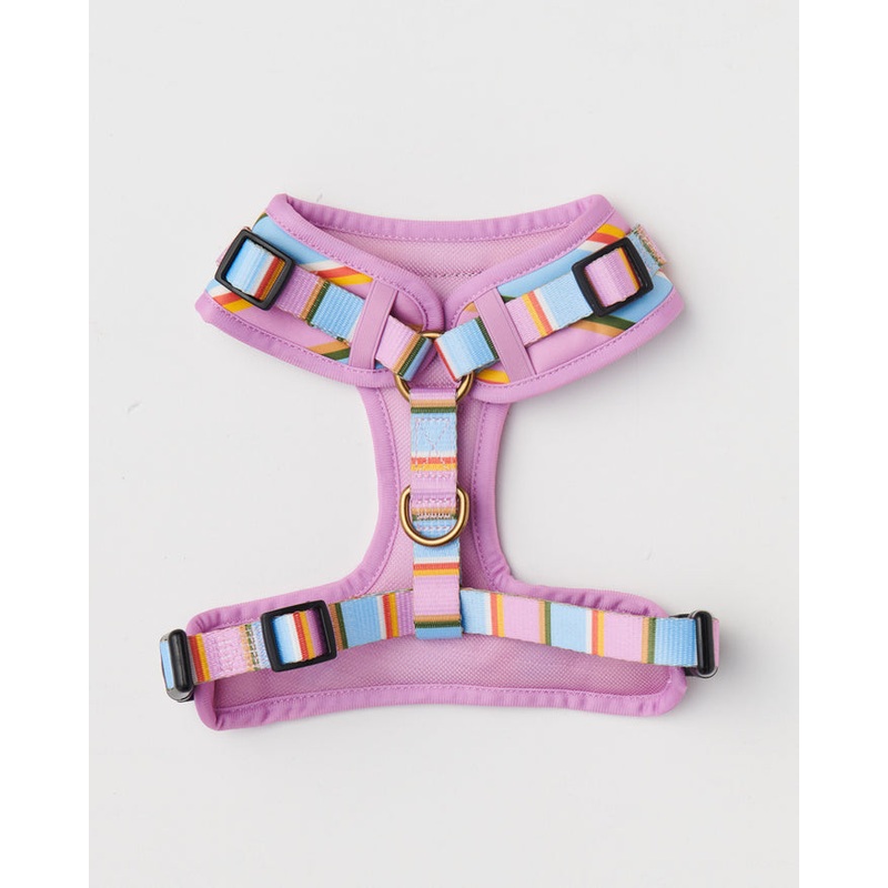Fez Stripe Dog Harness Large