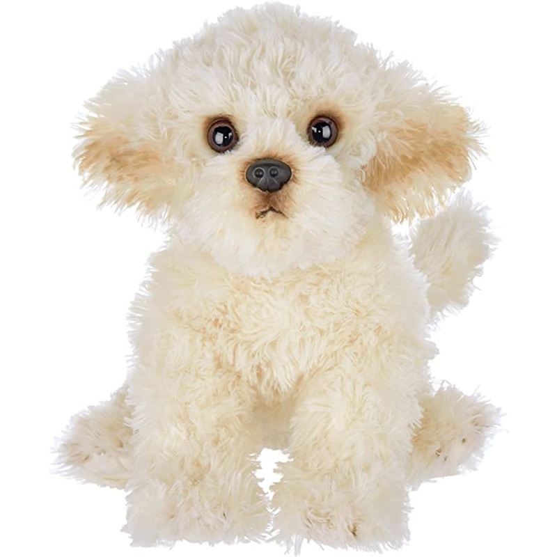 Lil’ Bisquit the Labradoodle