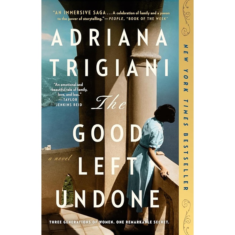The Good Left Undone: A Novel