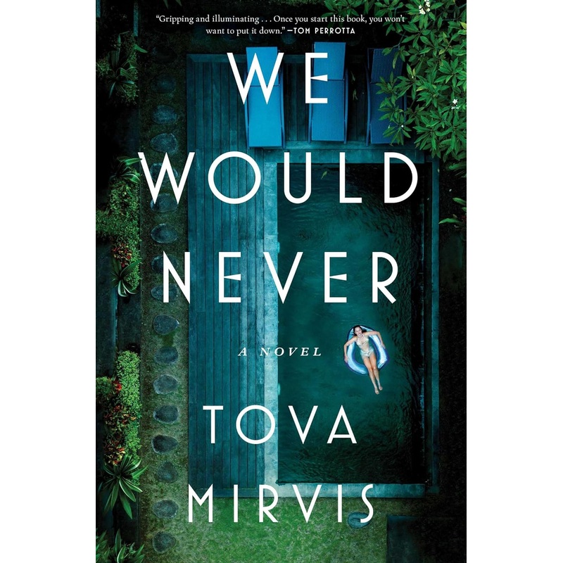 We Would Never: A Novel Hardcover