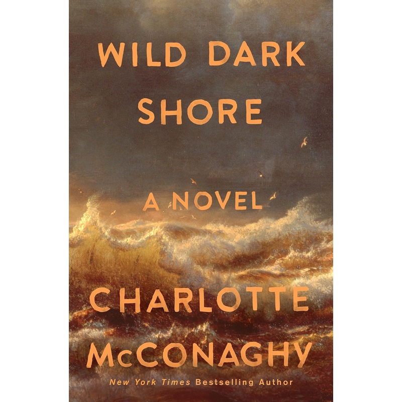 Wild Dark Shore: A Novel Hardcover