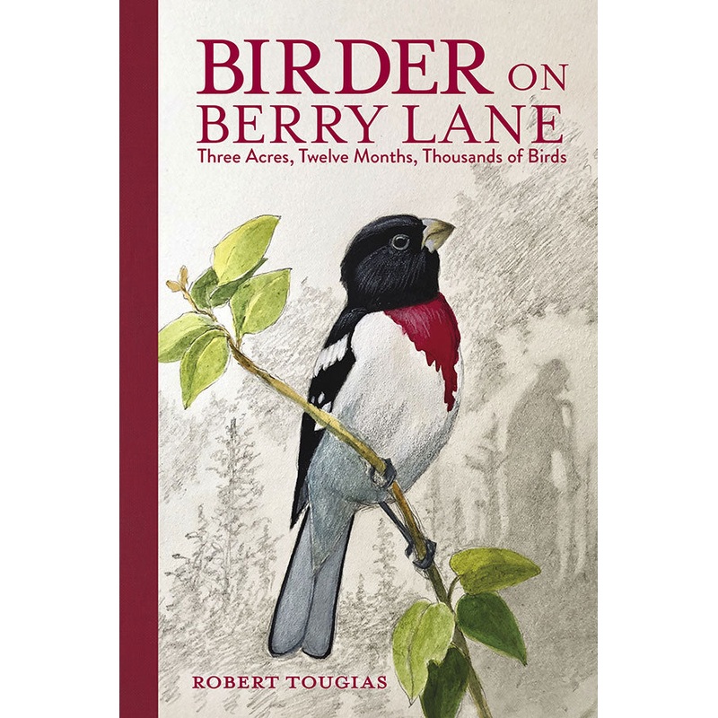 Birder on Berry Lane
