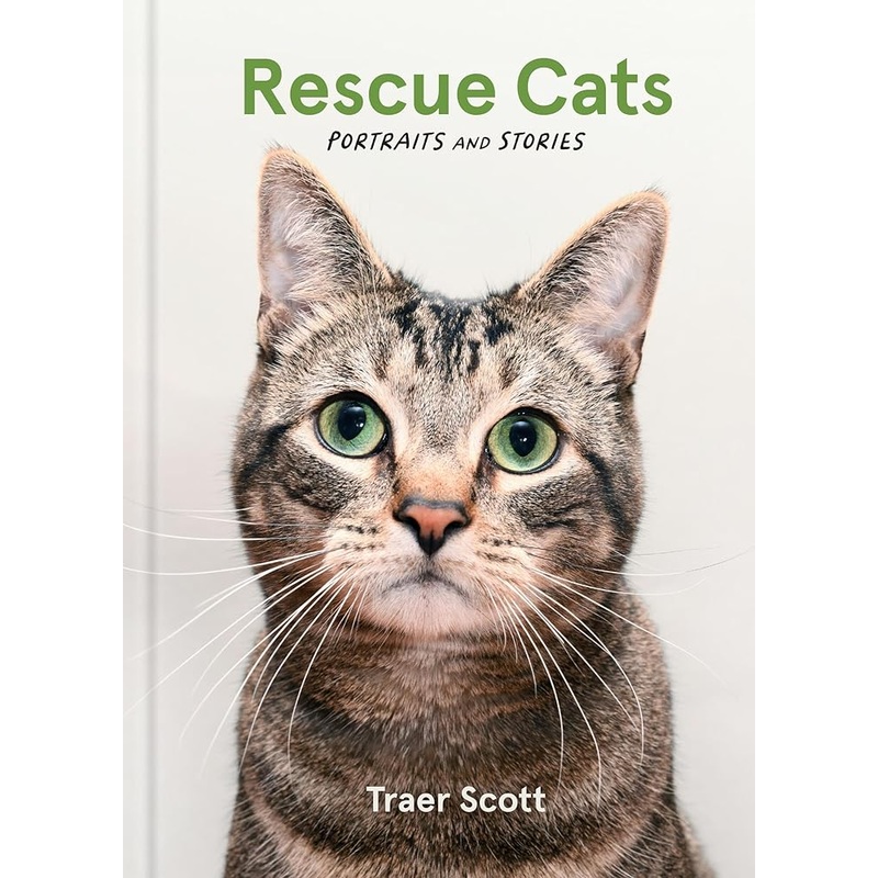 Rescue Cats: Portraits and Stories