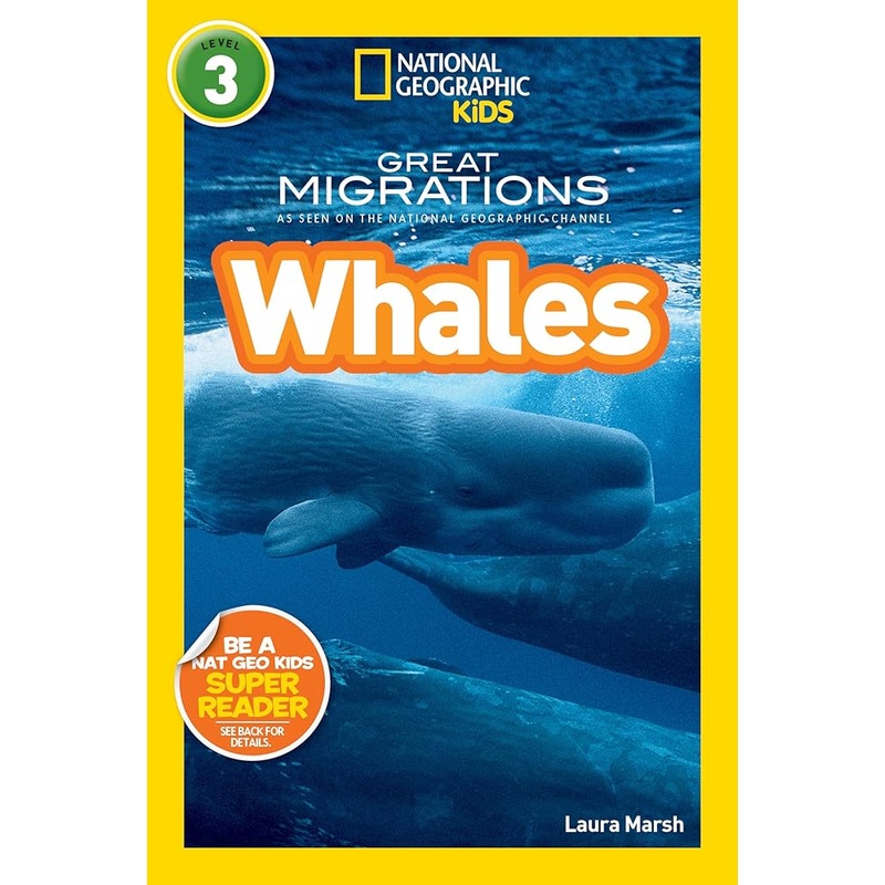 Great Migrations: Whales